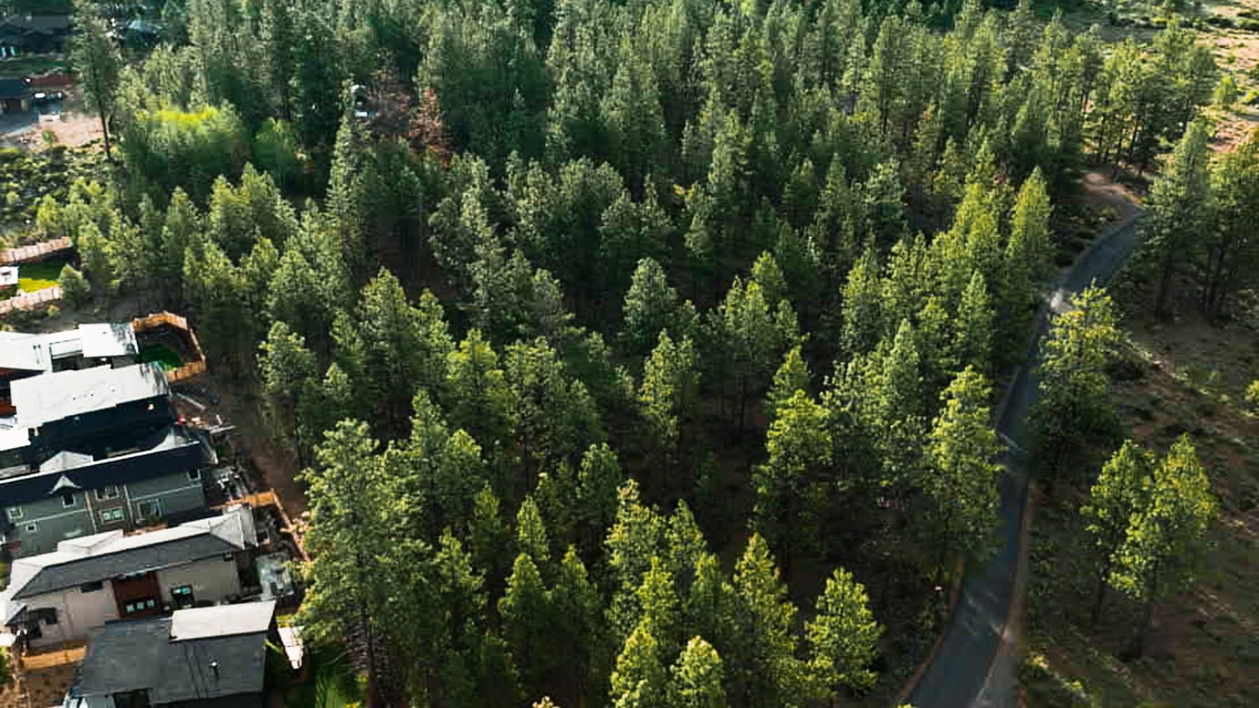 Aerial drone view of a Central Oregon forest